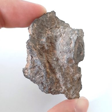 ZLK-Feuilleton: Meteorite – Zeugen der Entstehung des Sonnensystems
