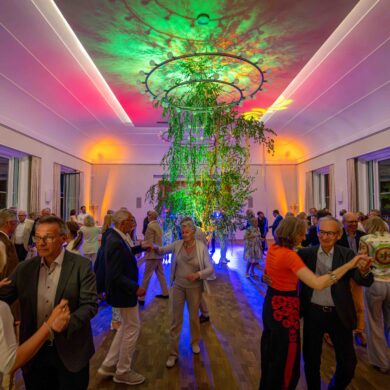 Galerie Vorschau
